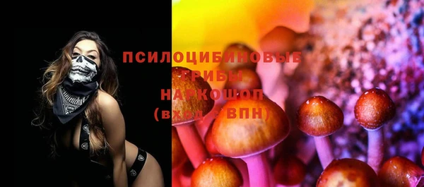 гашик Приозерск