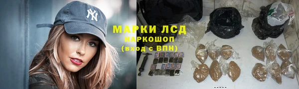 гашик Приозерск